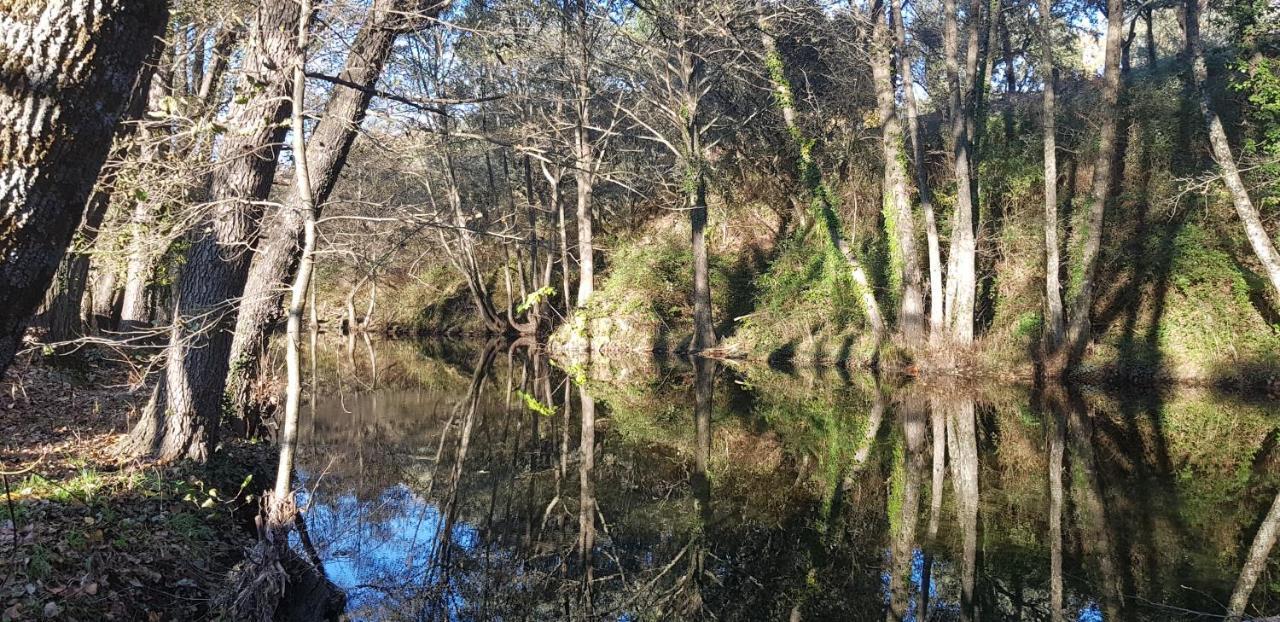 Esencia De Gredos Guest House Ramacastanas ภายนอก รูปภาพ